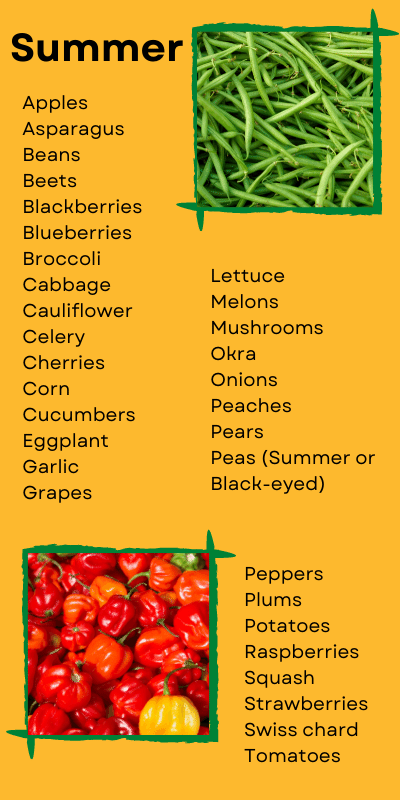 Content is available in the PDF linked below.